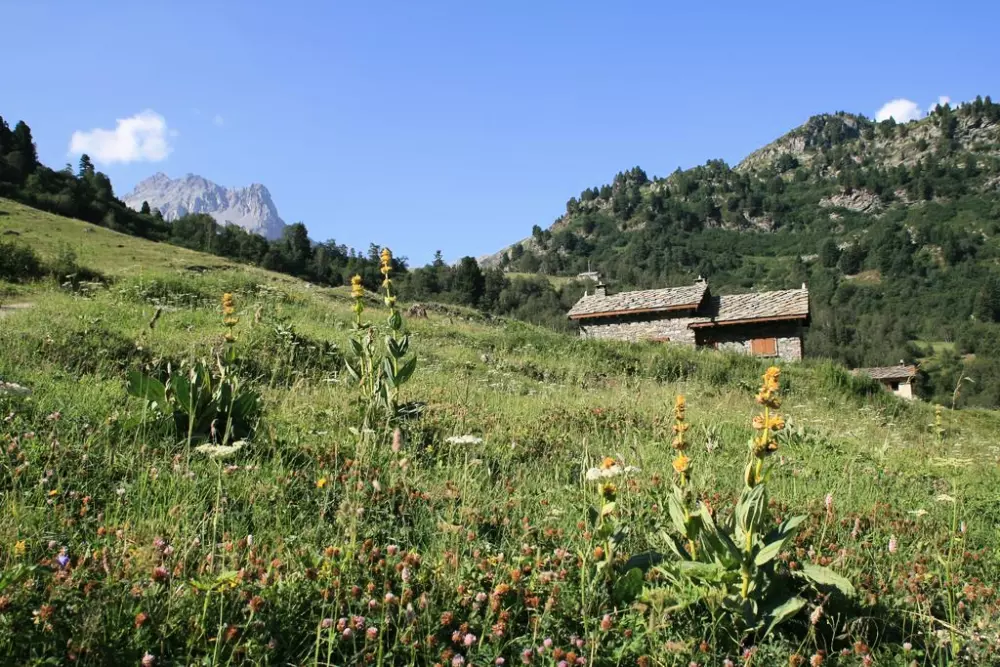 Les Chalets du Thabor