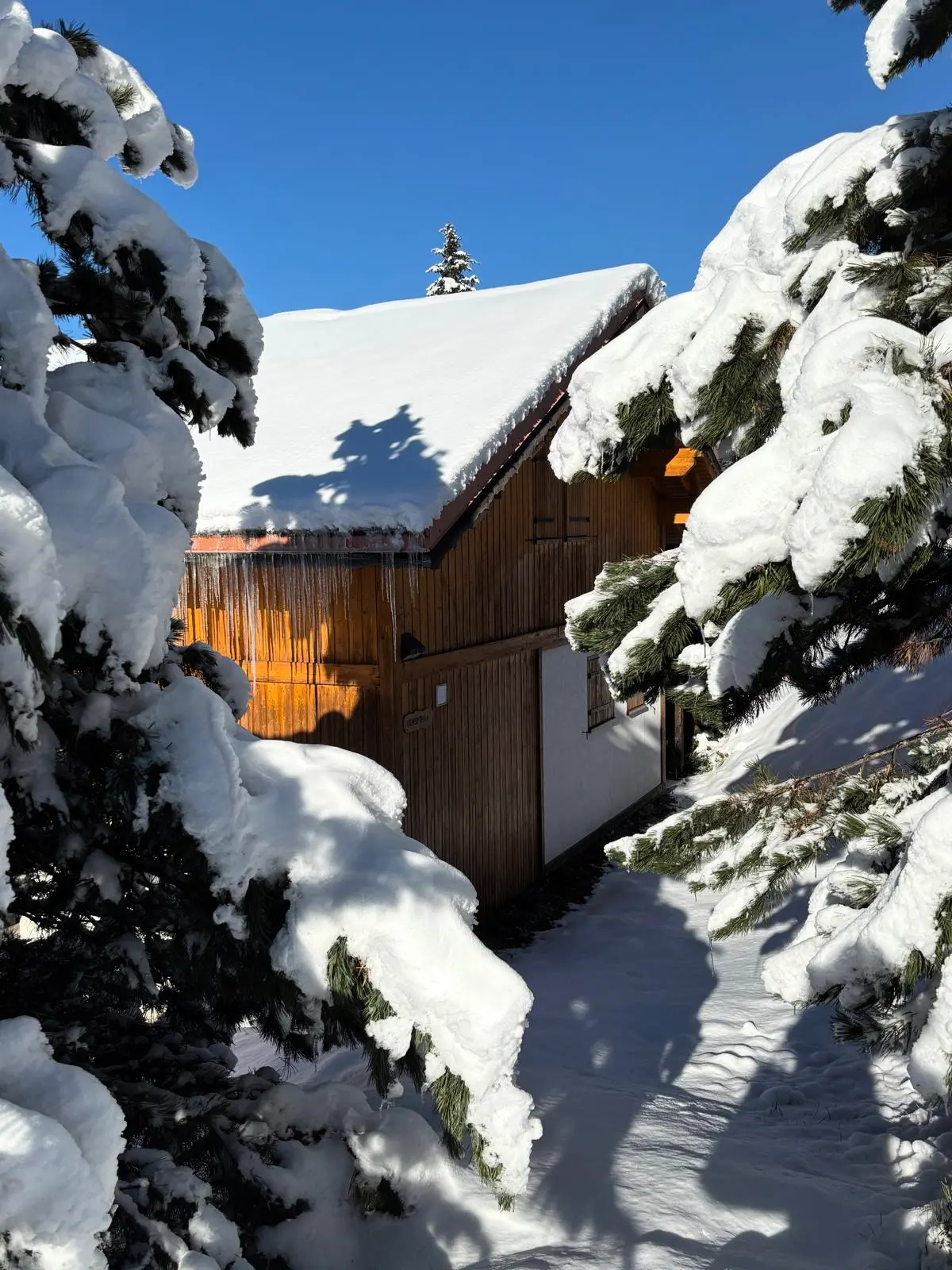 Chalet Forsythia - - Vallandry - 1