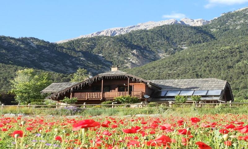 Chalet Chez Dany-vallouise - - Vallouise - 6