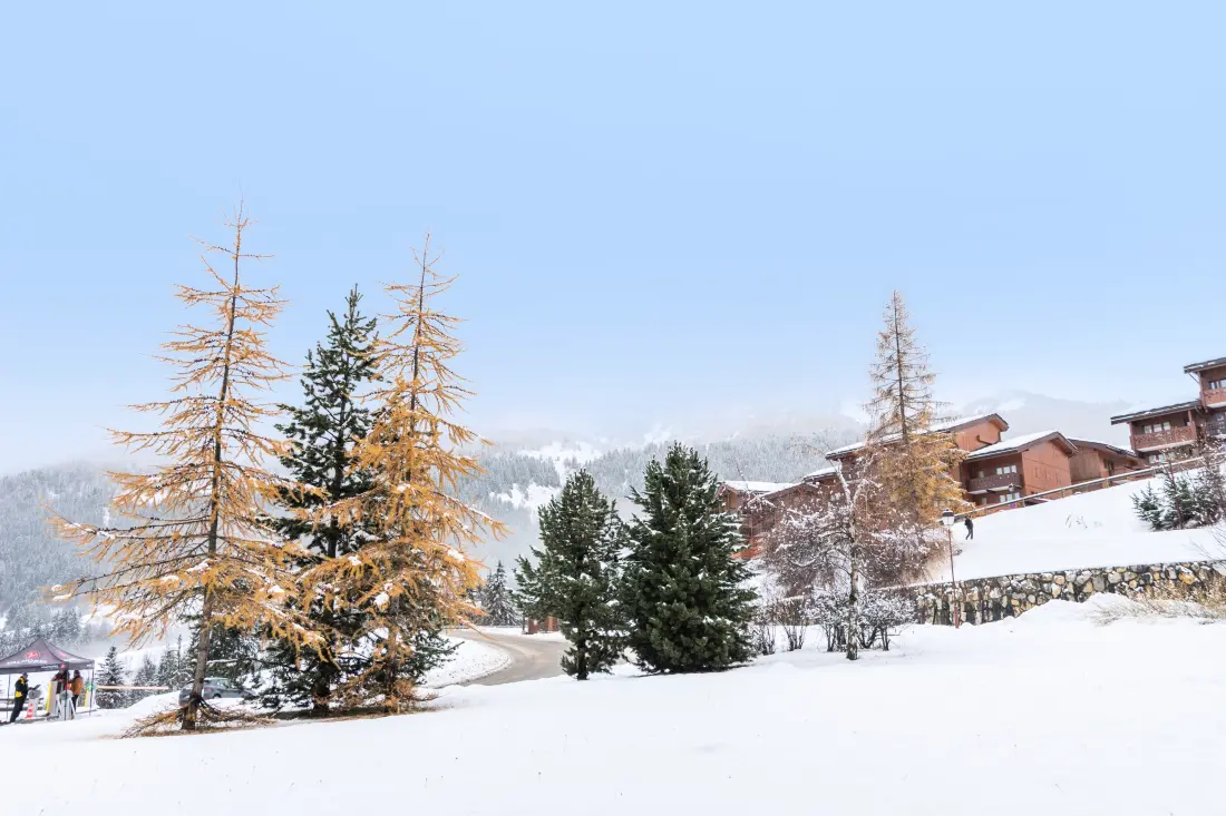 Quartier La Forêt - maeva Home