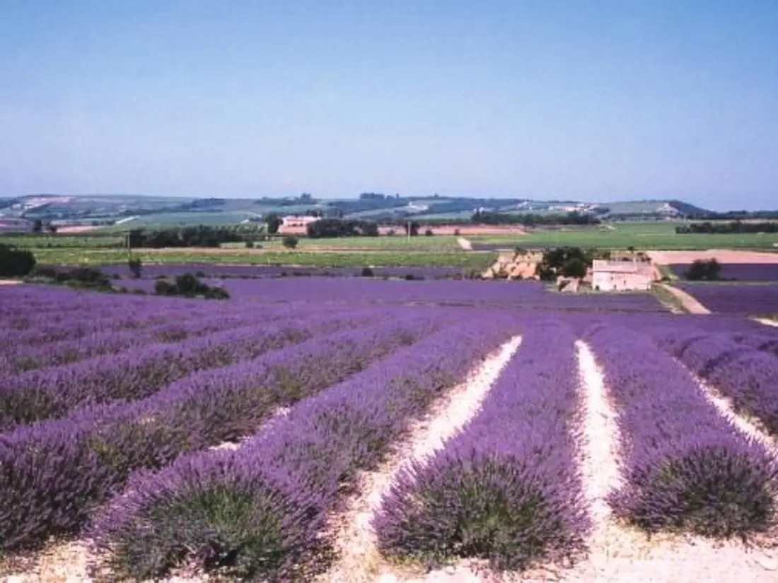 Maison de Vacances Valreas