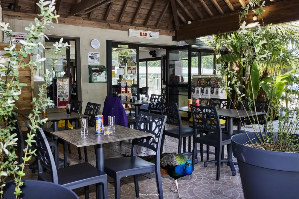 Camping maeva Club Les Jardins du Morbihan 4 étoiles★★★★