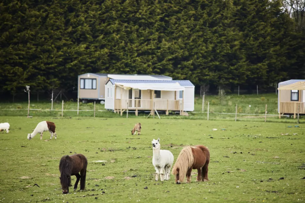 Camping maeva Club Les Jardins du Morbihan 4 étoiles★★★★