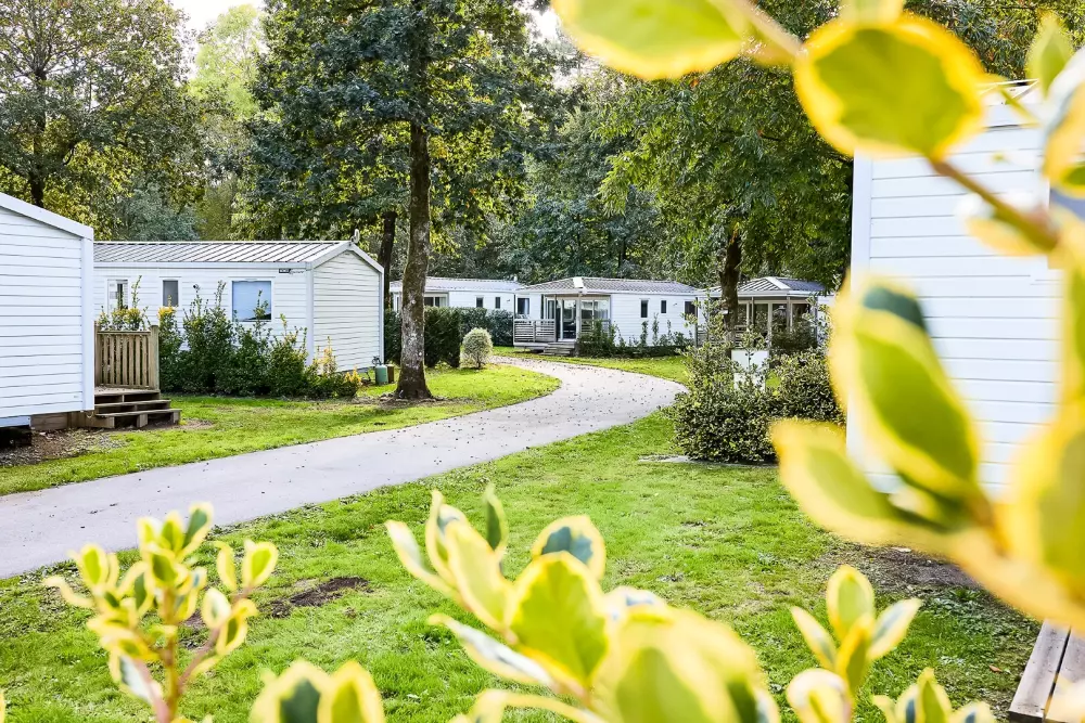 Camping maeva Club Les Jardins du Morbihan 4 étoiles★★★★