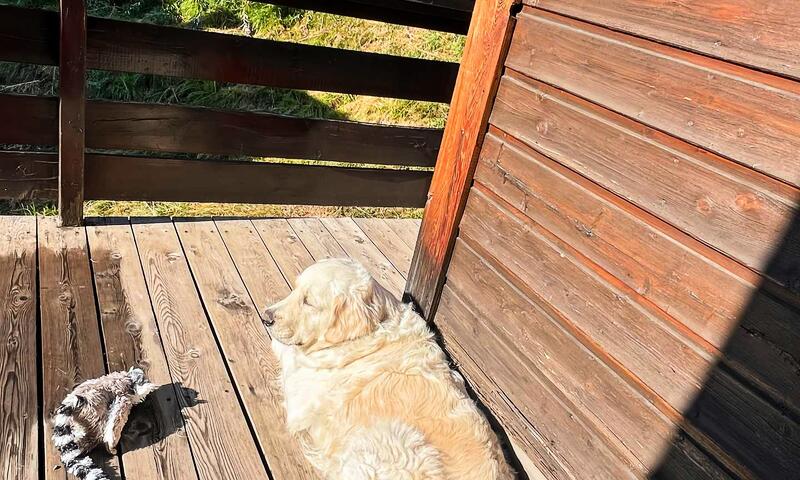 Chalet Perce Neige - - Vars - SKI - 11