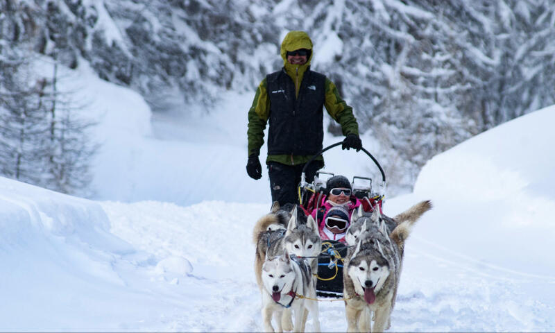 Résidence Le Chamois Blond - - Vars - 10