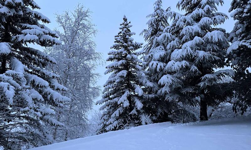 Résidence Les Terrasses De Vars Ste Marie - Vars - 33