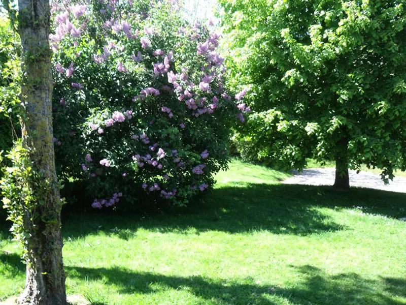 Gîte de France Gîtes de france® - les lilas 2 épis