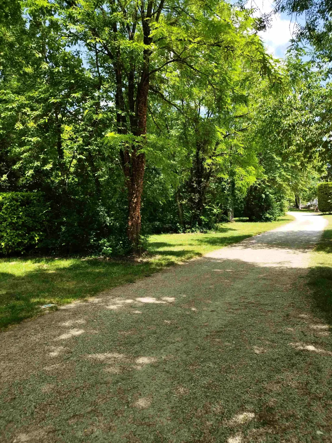 Camping des Tourbières 3 étoiles★★★