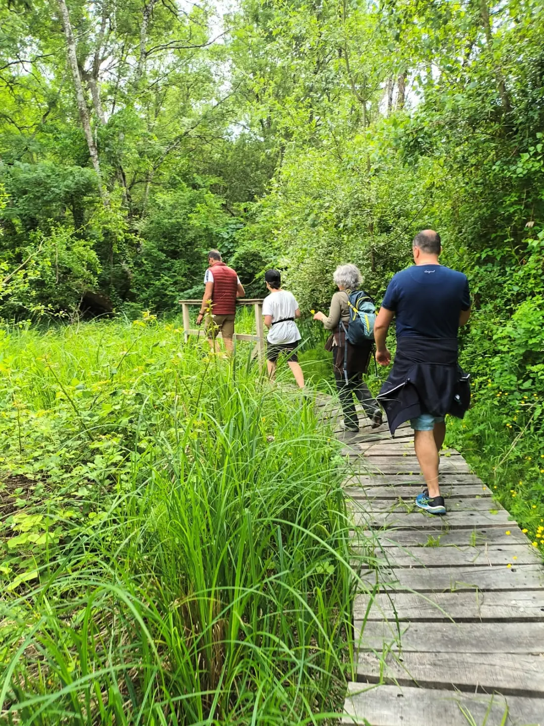 Camping des Tourbières 3 étoiles★★★