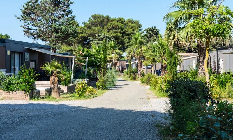 France - Méditerranée Ouest - Vendres Plage - Camping Les Mûriers 4*