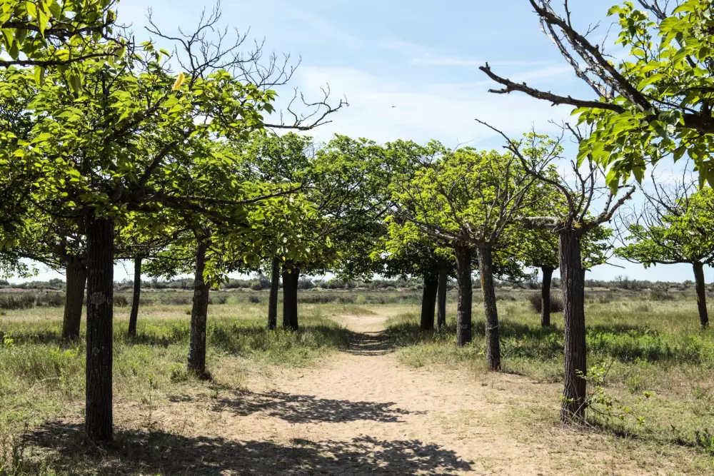 Les Mûriers 4 étoiles★★★★