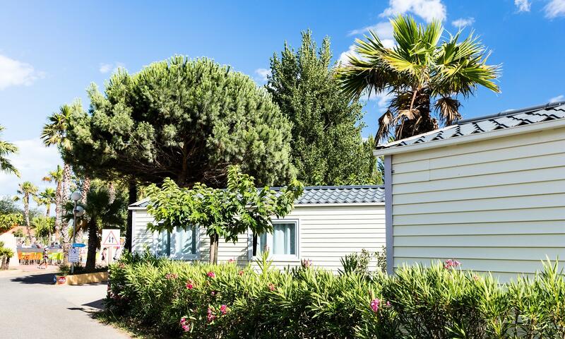 Camping Les Sablines - Vendres-Plage - 13