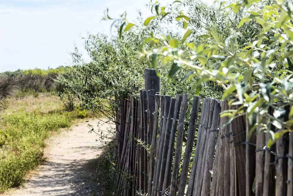 Les Mûriers 4 étoiles★★★★