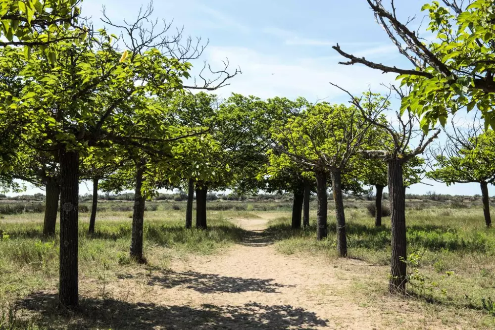 Les Mûriers 4 étoiles★★★★