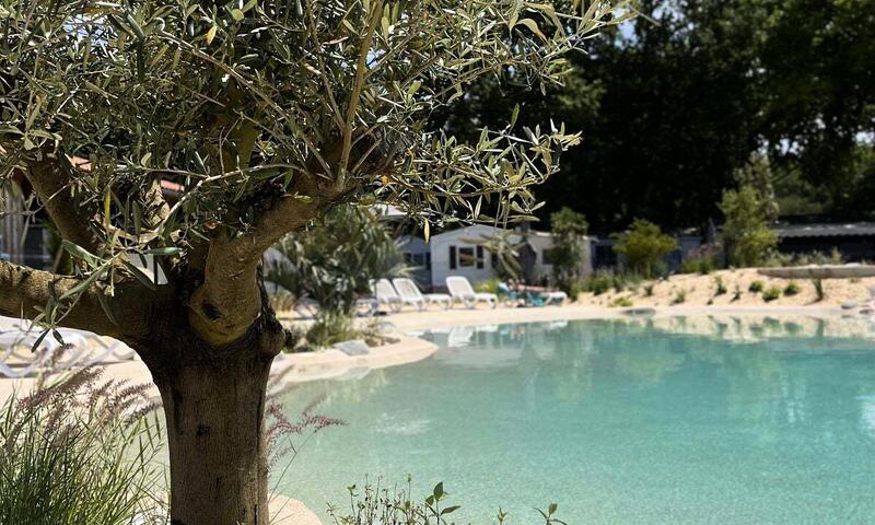 Camping Le Vieux Moulin - - Vensac - 7