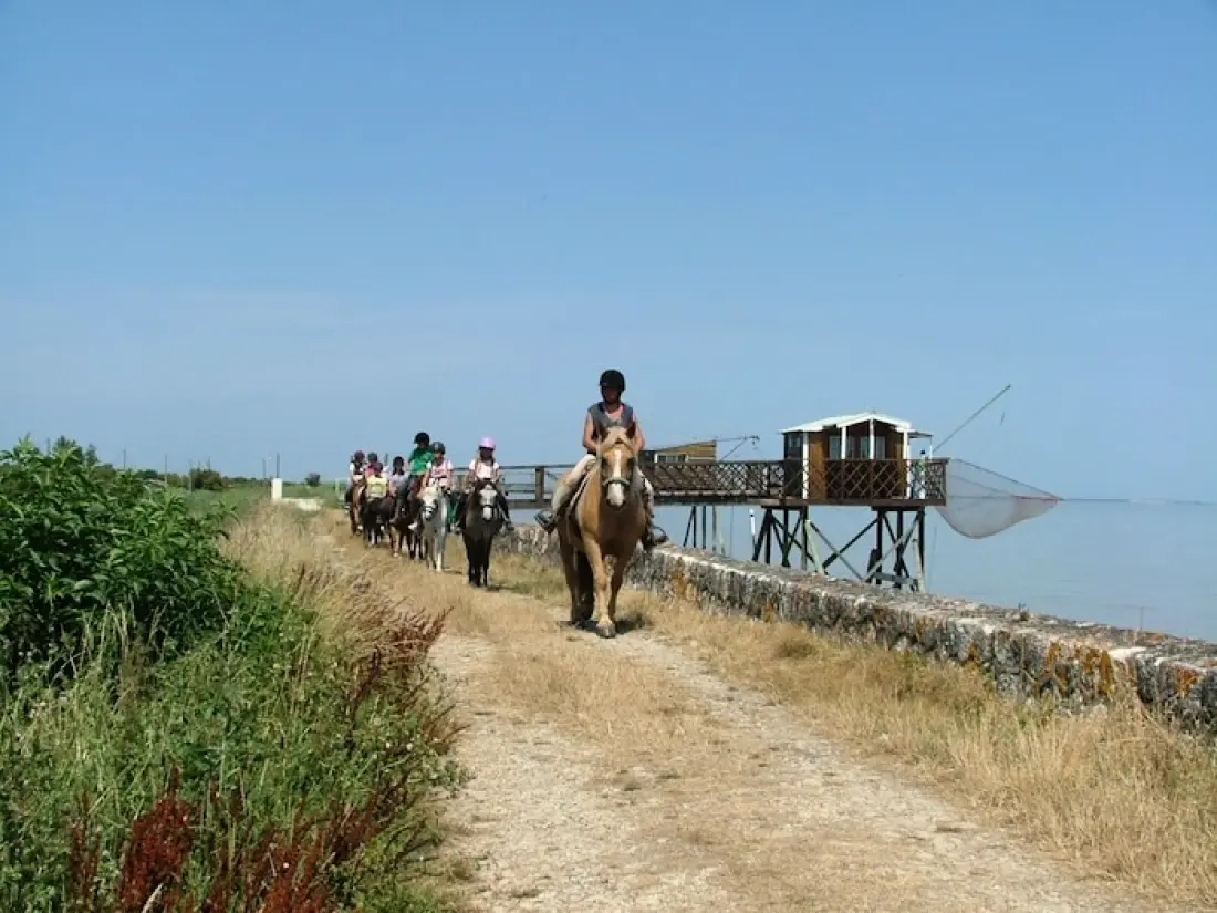 Camping Paradis Le Tastesoule 4 étoiles★★★★