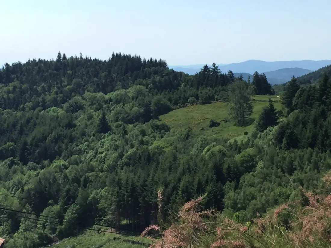 Maison de Vacances VERANNE