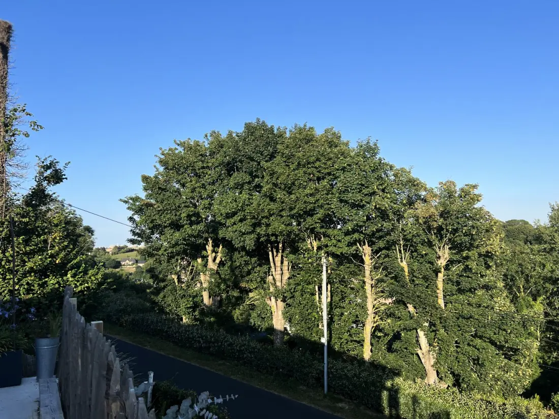 Gîte de France Gîtes de france® - villa la veulette 2 épis