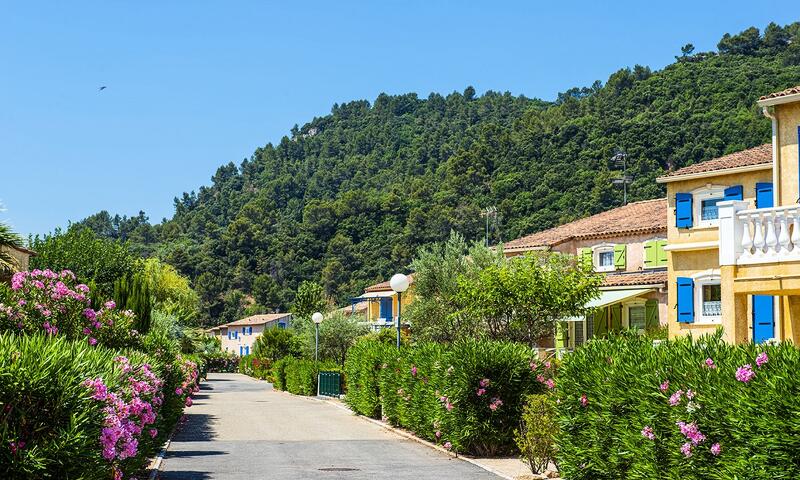 France - Sud Est et Provence - Vidauban - Domaine Le Clos des Oliviers