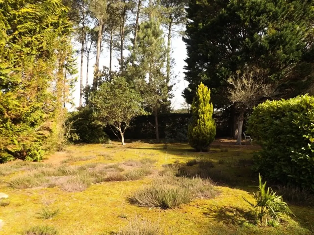 Maison de Vacances Vielle-Saint-Girons 26