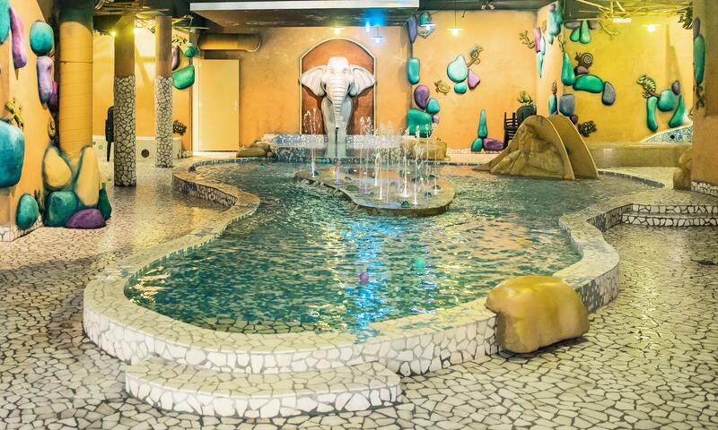 Domaine Les Ardennes Center Parcs - Vielsalm - 8