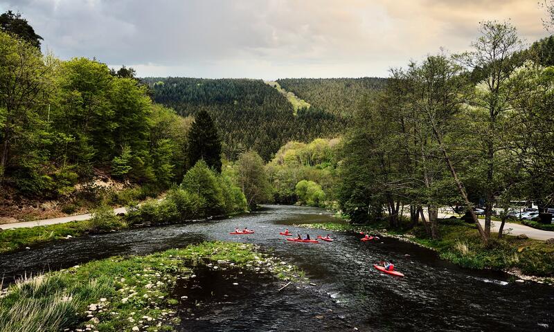 Domaine Les Ardennes Center Parcs - Vielsalm - 14