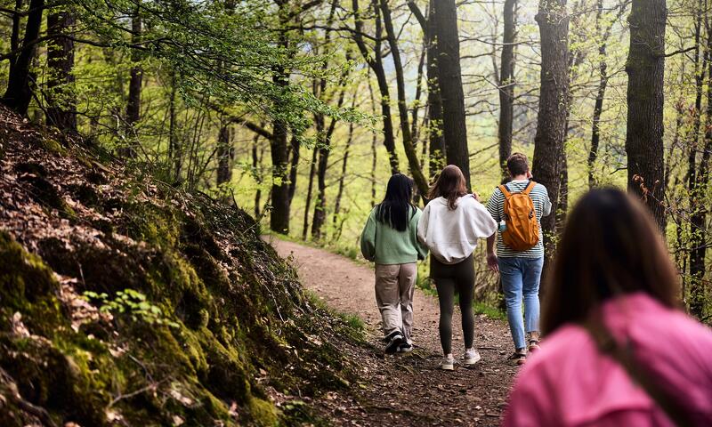 Domaine Les Ardennes Center Parcs - Vielsalm - 19
