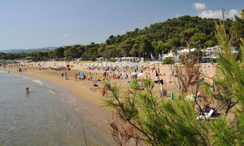 Camping Capo Vieste *** - - Vieste - 17