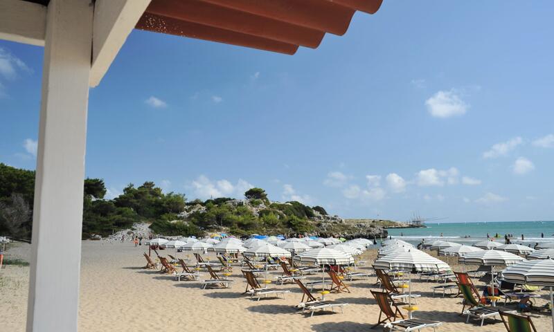 Camping Capo Vieste *** - - Vieste - 22