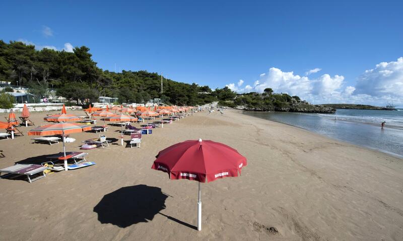 Camping Capo Vieste *** - - Vieste - 24