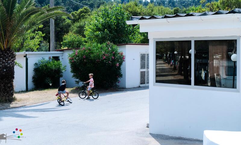 Camping Capo Vieste *** - - Vieste - 35