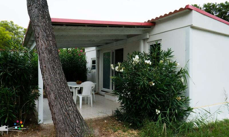 Camping Capo Vieste *** - - Vieste - 5