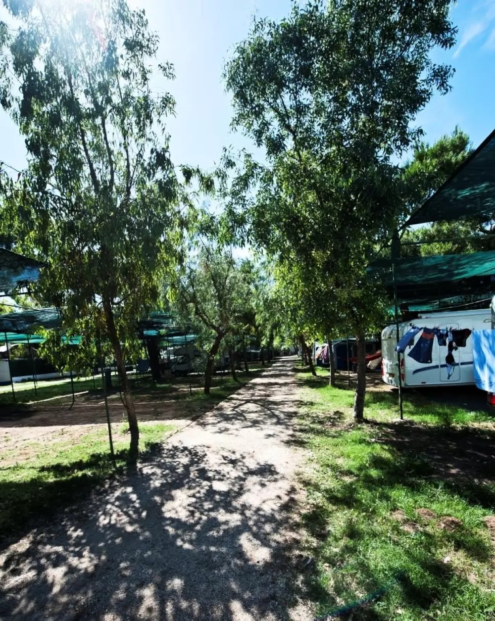 Camping Village Le Diomedee 3 étoiles★★★