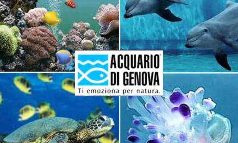 Villaggio C'era una Volta *** - Vilanova d'Albenga - 25
