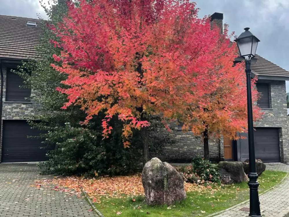 Location de Vacances Villanúa 12