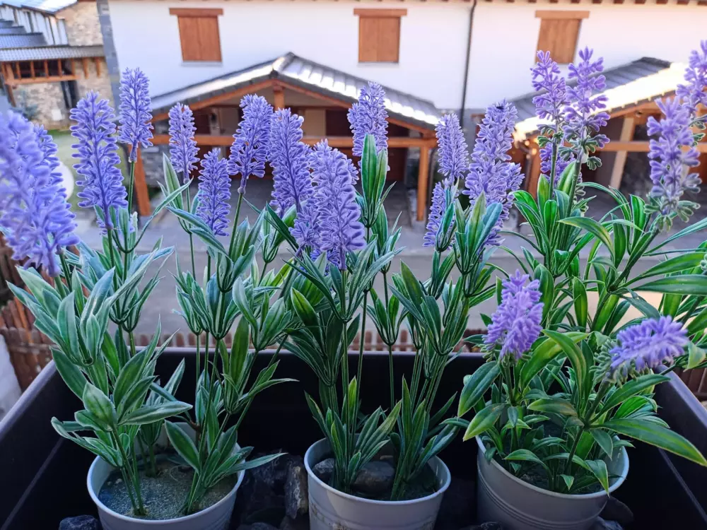 Maison de Vacances Villanúa 7