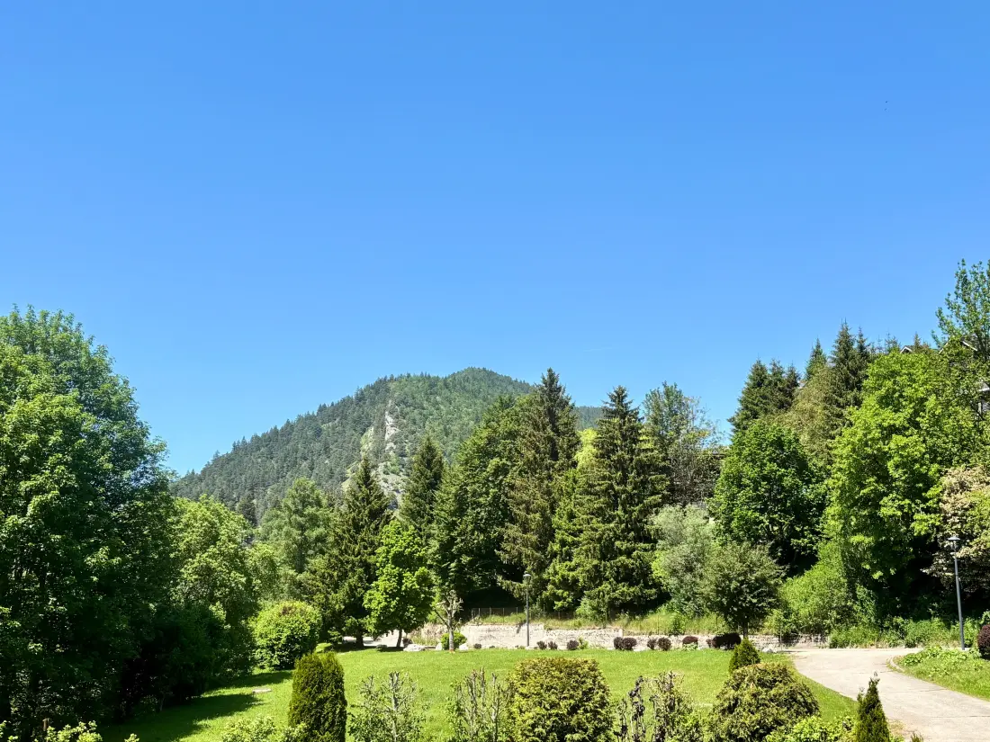 Location de Vacances Villard-de-Lans 257