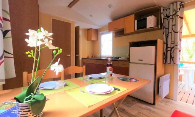 Camping Paradis le Ruou**** - Villecroze - 40