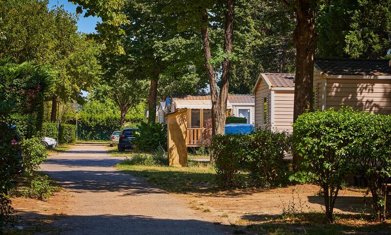 Camping Les Avignon - Villeneuve Les Avignons - 7