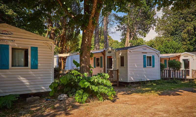 Camping Les Avignon - Villeneuve Les Avignons - 13