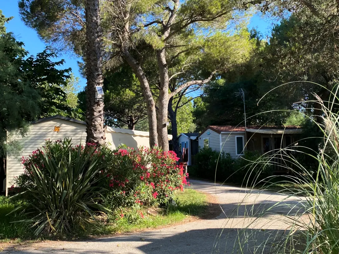 Camping de l'Arnel 2 étoiles★★