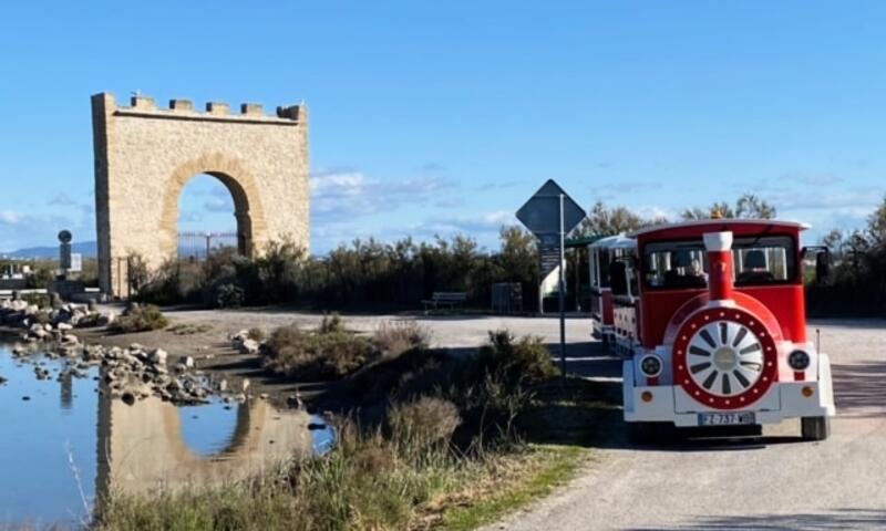 Camping de l'Arnel ** - Villeneuves Lès Maguelone - 18