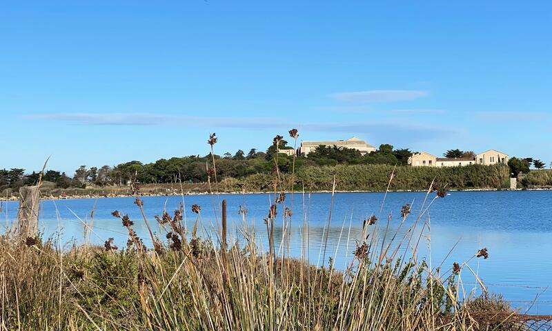 Camping de l'Arnel ** - Villeneuves Lès Maguelone - 48