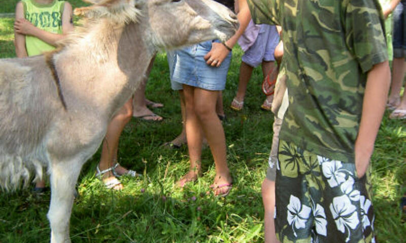 France - Sud Ouest - Villeréal - Camping Fontaine Du Roc 3*