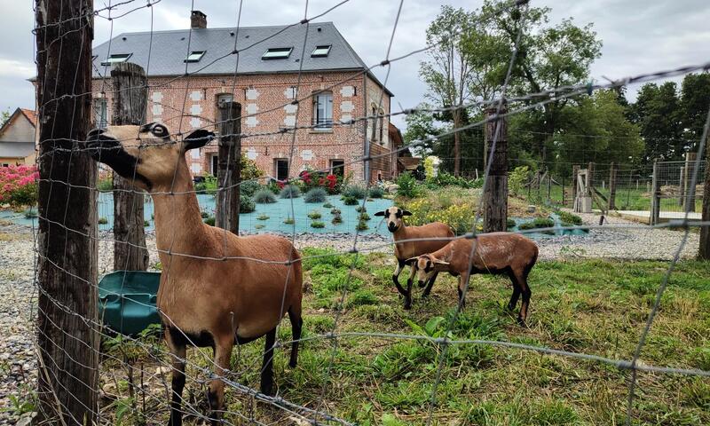 Gîte de France La fleuv'yères 4 épis - - Villy sur Yeres - 44