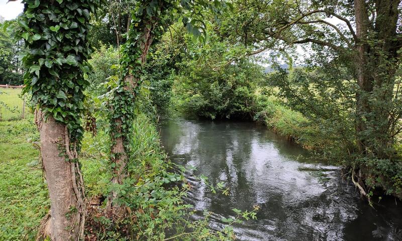 Gîte de France La fleuv'yères 4 épis - - Villy sur Yeres - 46