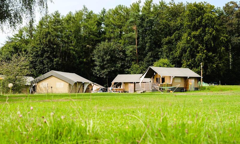 Camping La Colline - - Virton - 12