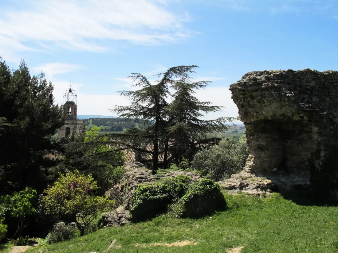 Maison de Vacances Visan