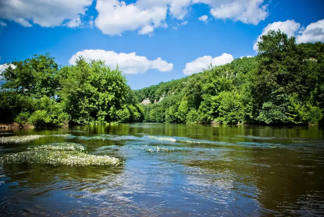 Flower Camping La Sagne 3 étoiles★★★